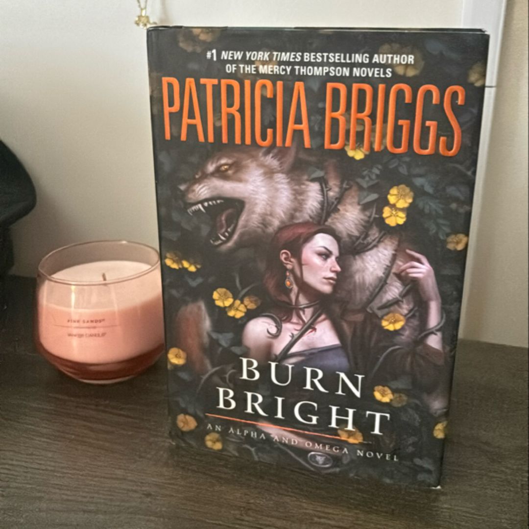 Burn Bright