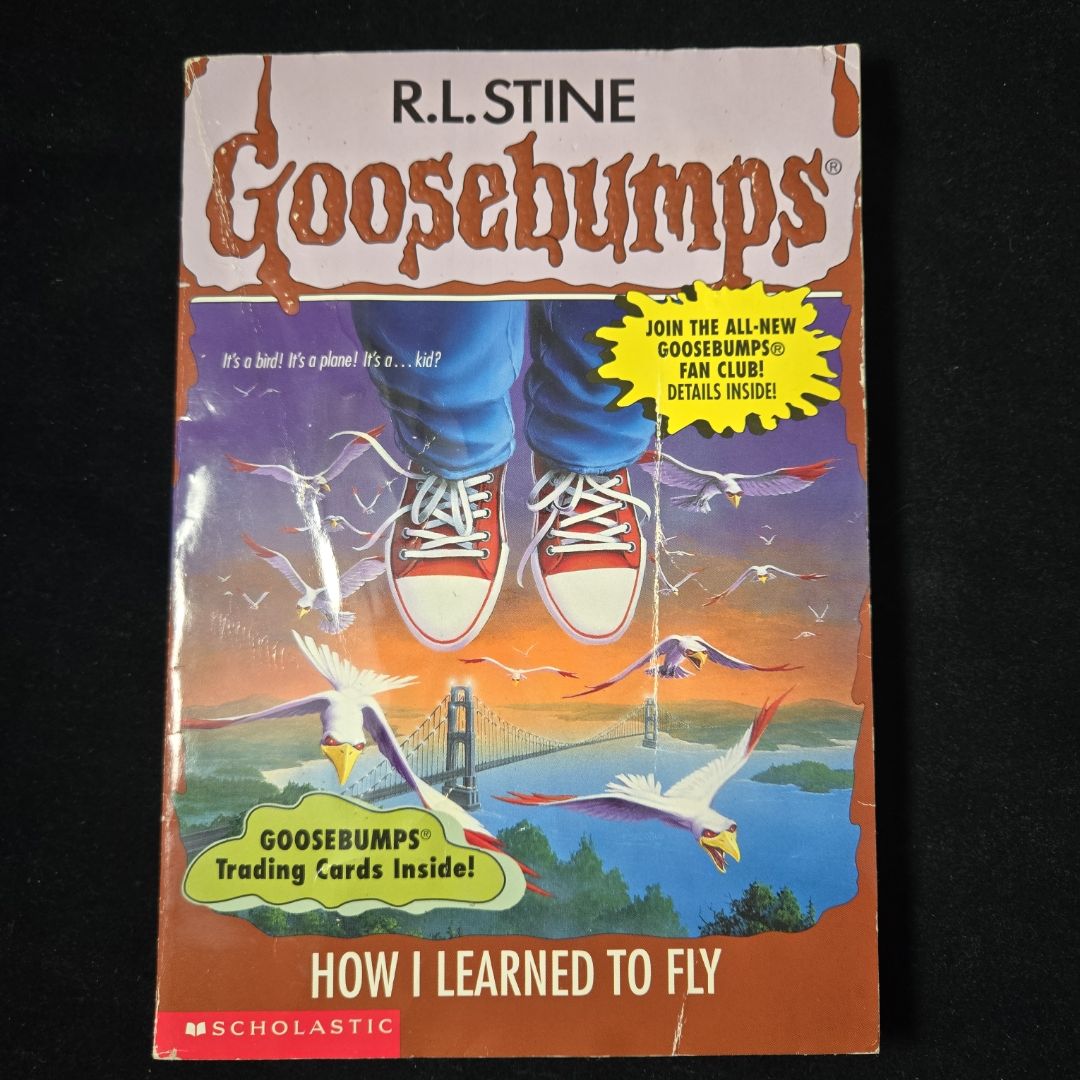 How I Learned to Fly