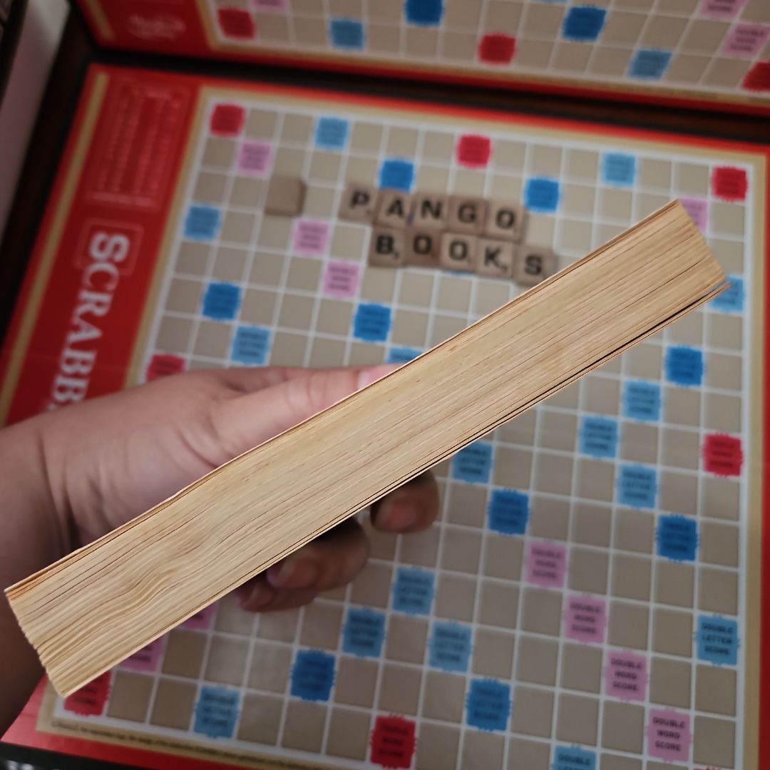 The Shadow of the Ship