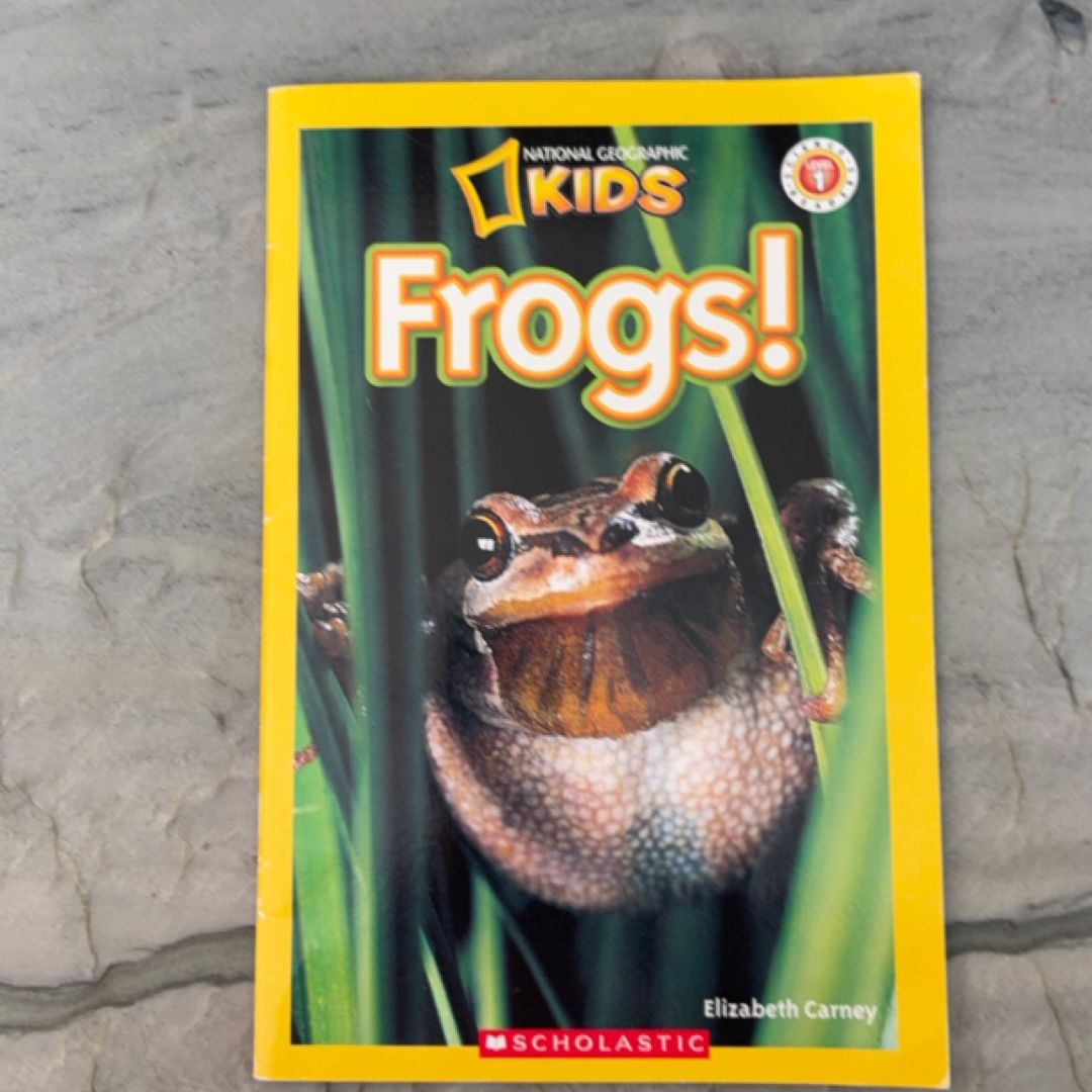 Frogs!