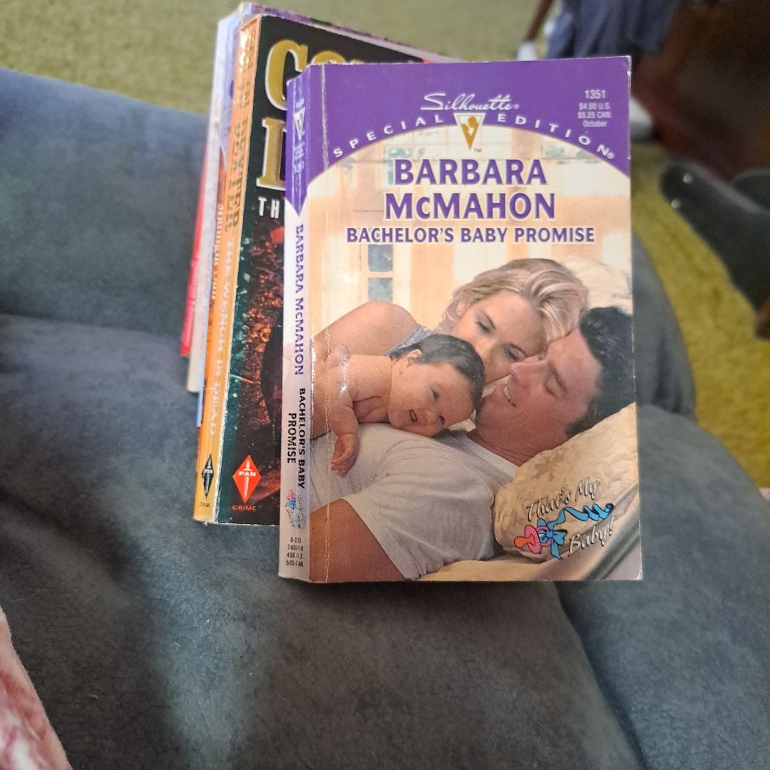Bachelor's Baby Promise