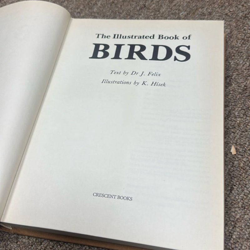 Illustrated Book of Birds