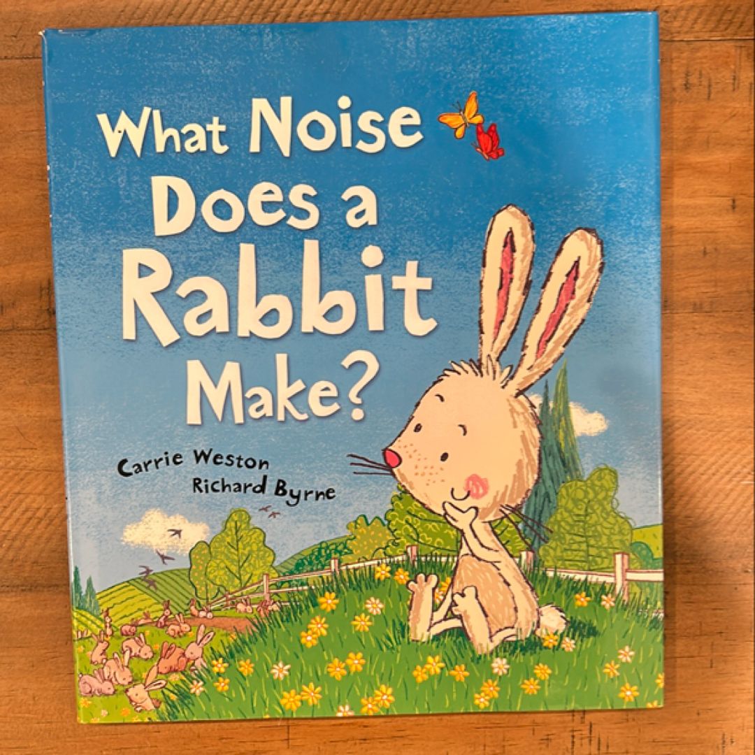 What Noise Does a Rabbit Make?