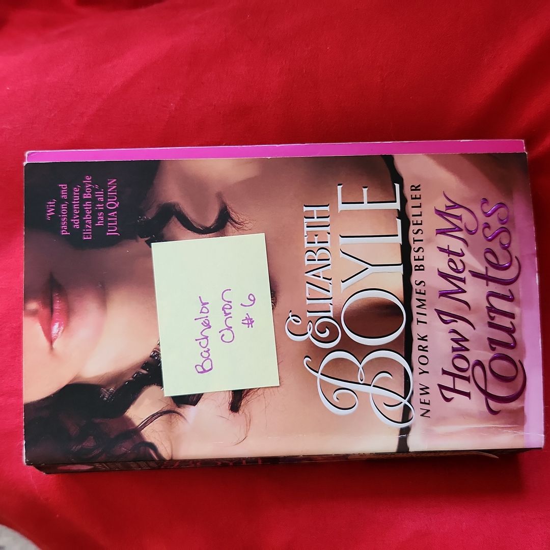 How I Met My Countess / Bachelor Chronicles #6