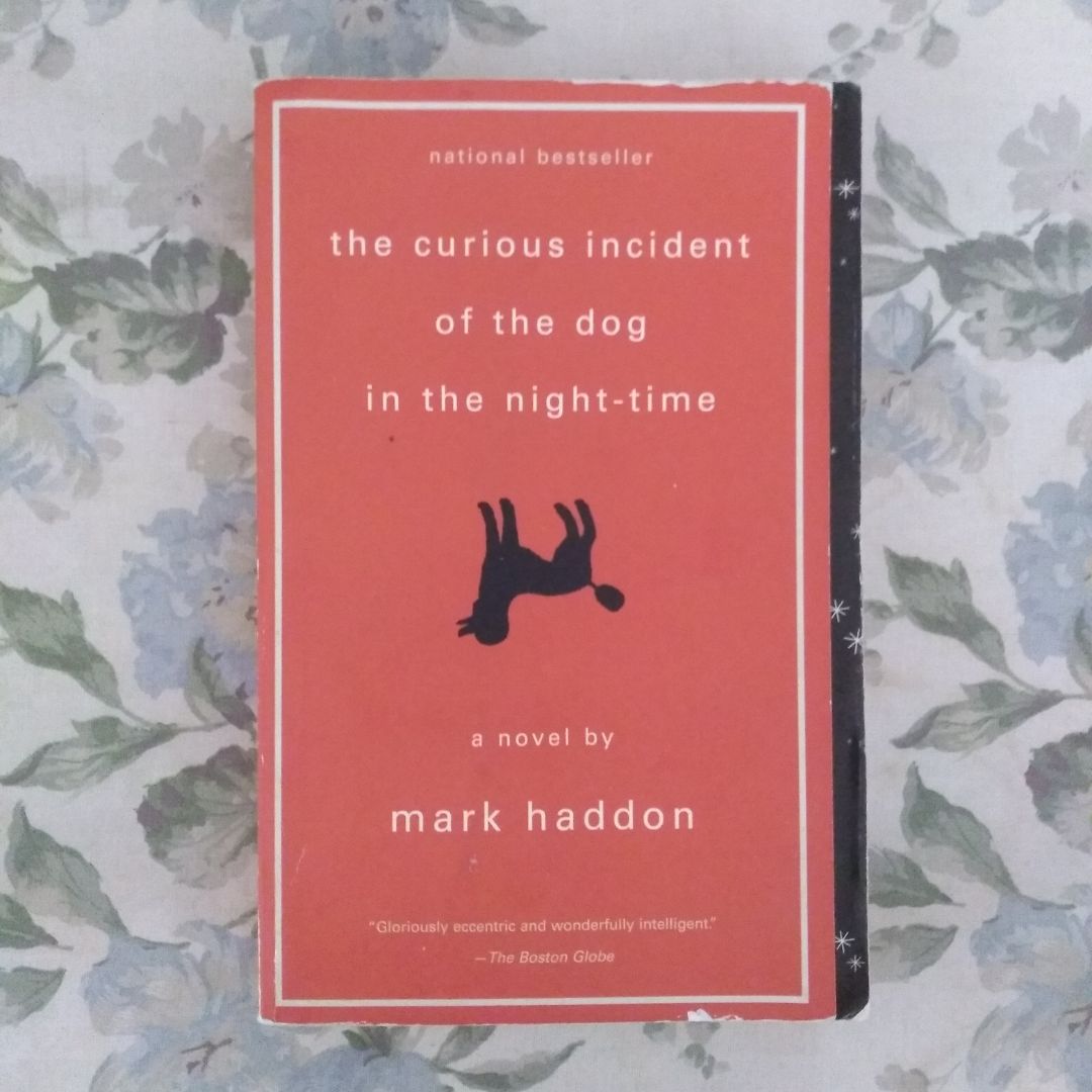 The Curious Incident of the Dog in the Night-Time