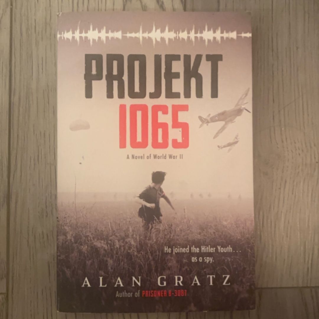 Projekt 1065