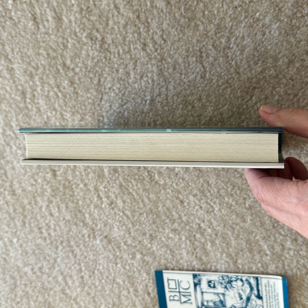 I Will Find You Again