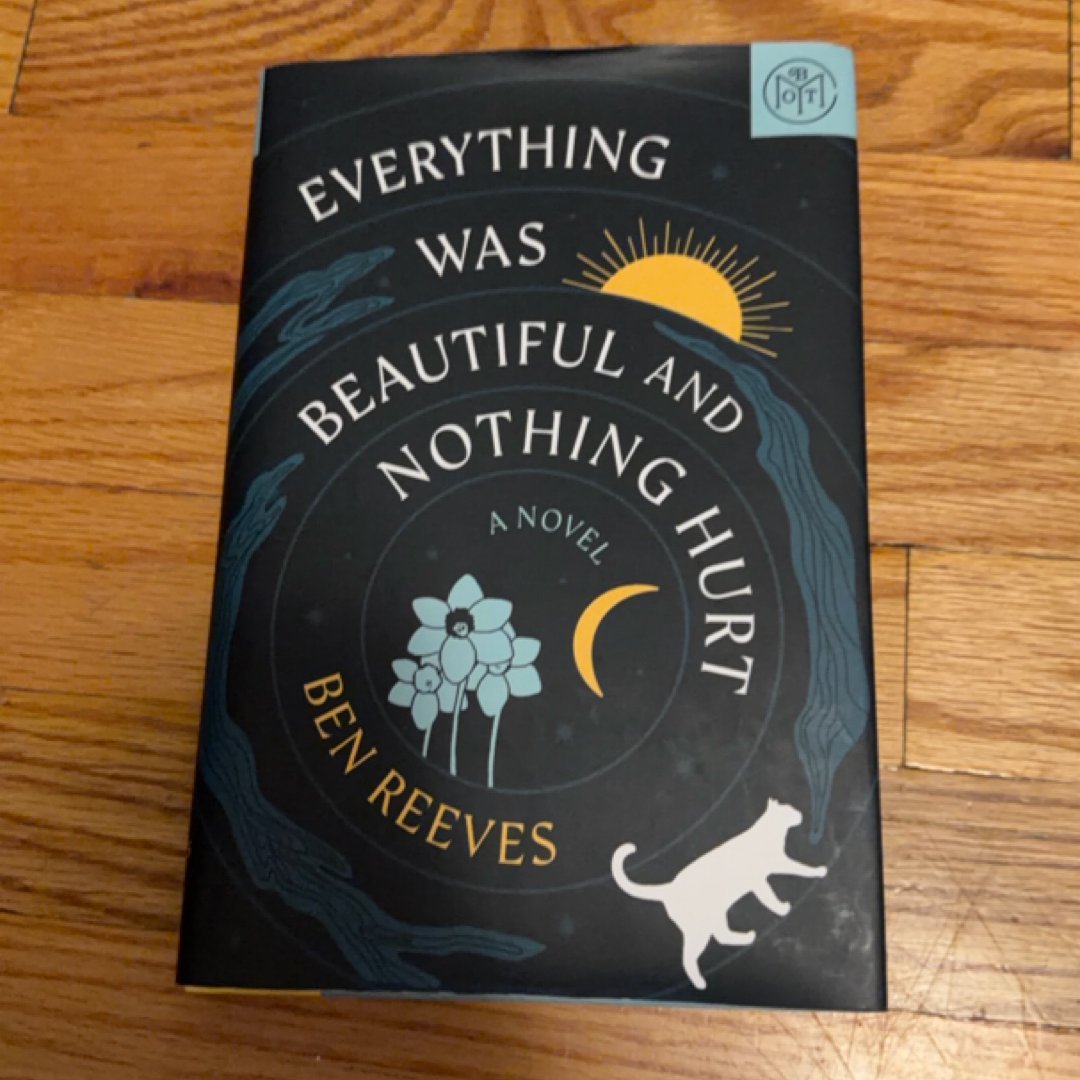 Everything Was Beautiful and Nothing Hurt