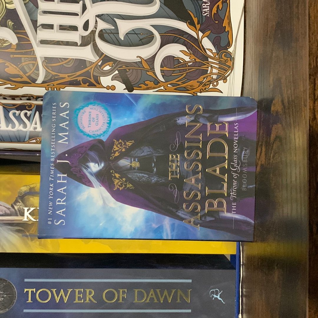 The Assassin's Blade (Miniature Character Collection)