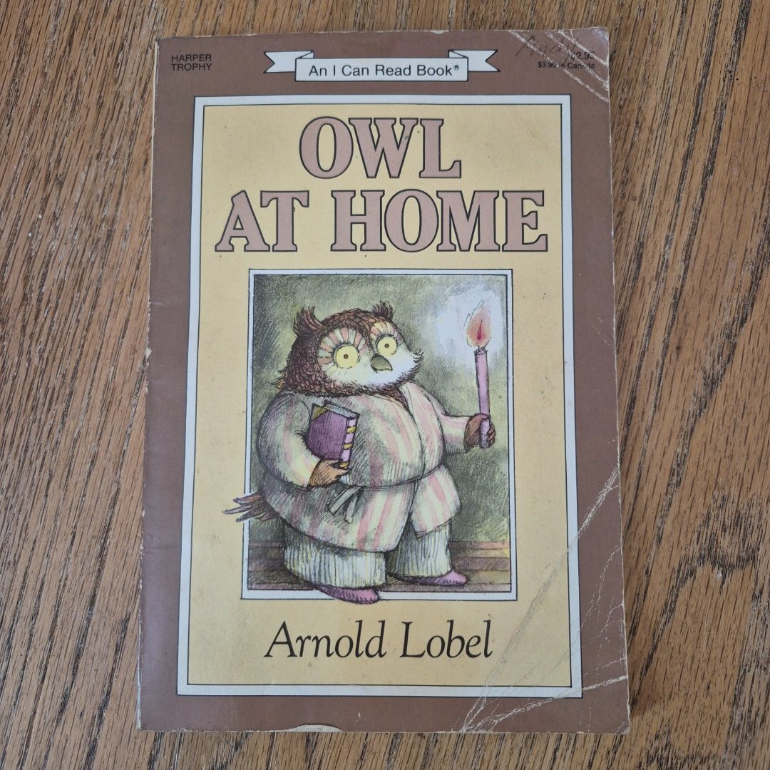Owl at Home