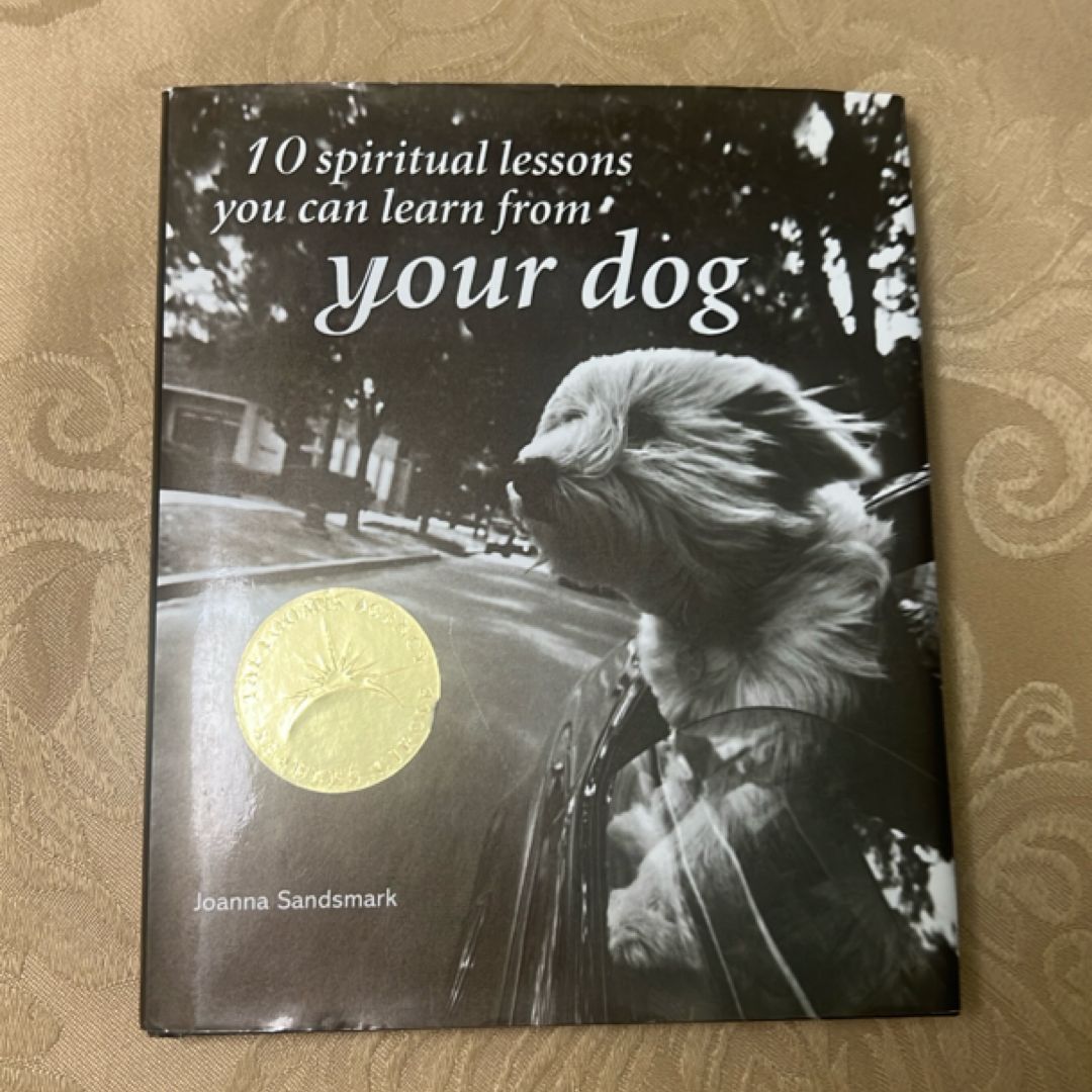 10 Spiritual Lessons You Can Learn from Your Dog