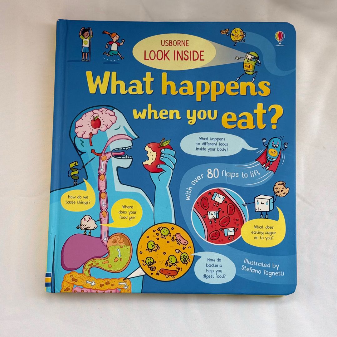 Look Inside: What Happens When You Eat BB