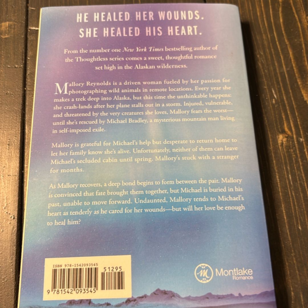 Under the Northern Lights