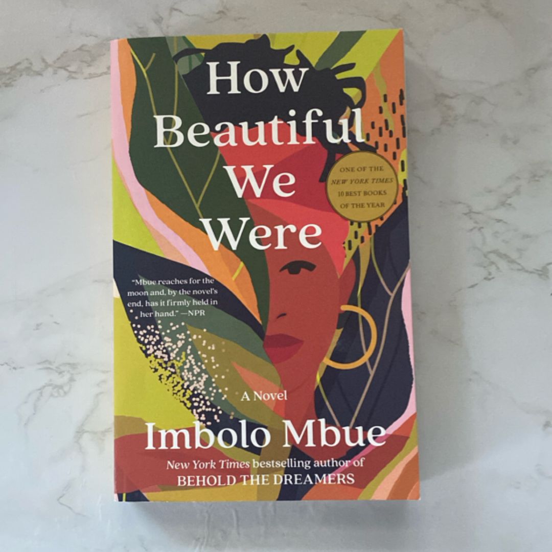 How Beautiful We Were