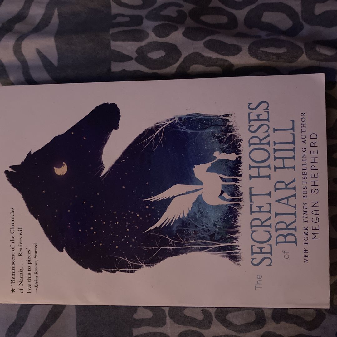 The Secret Horses of Briar Hill