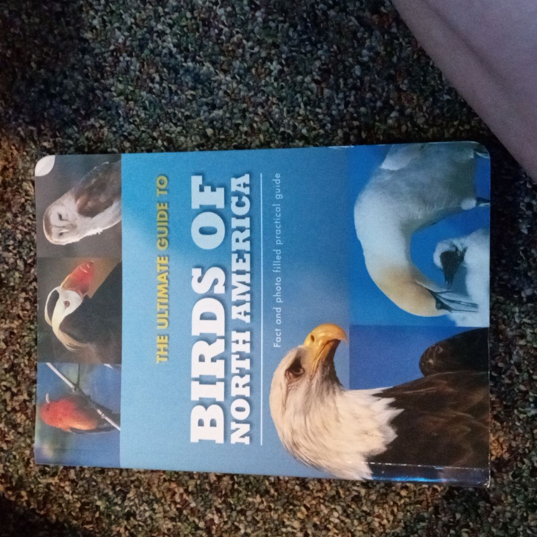 Before They Were Giants