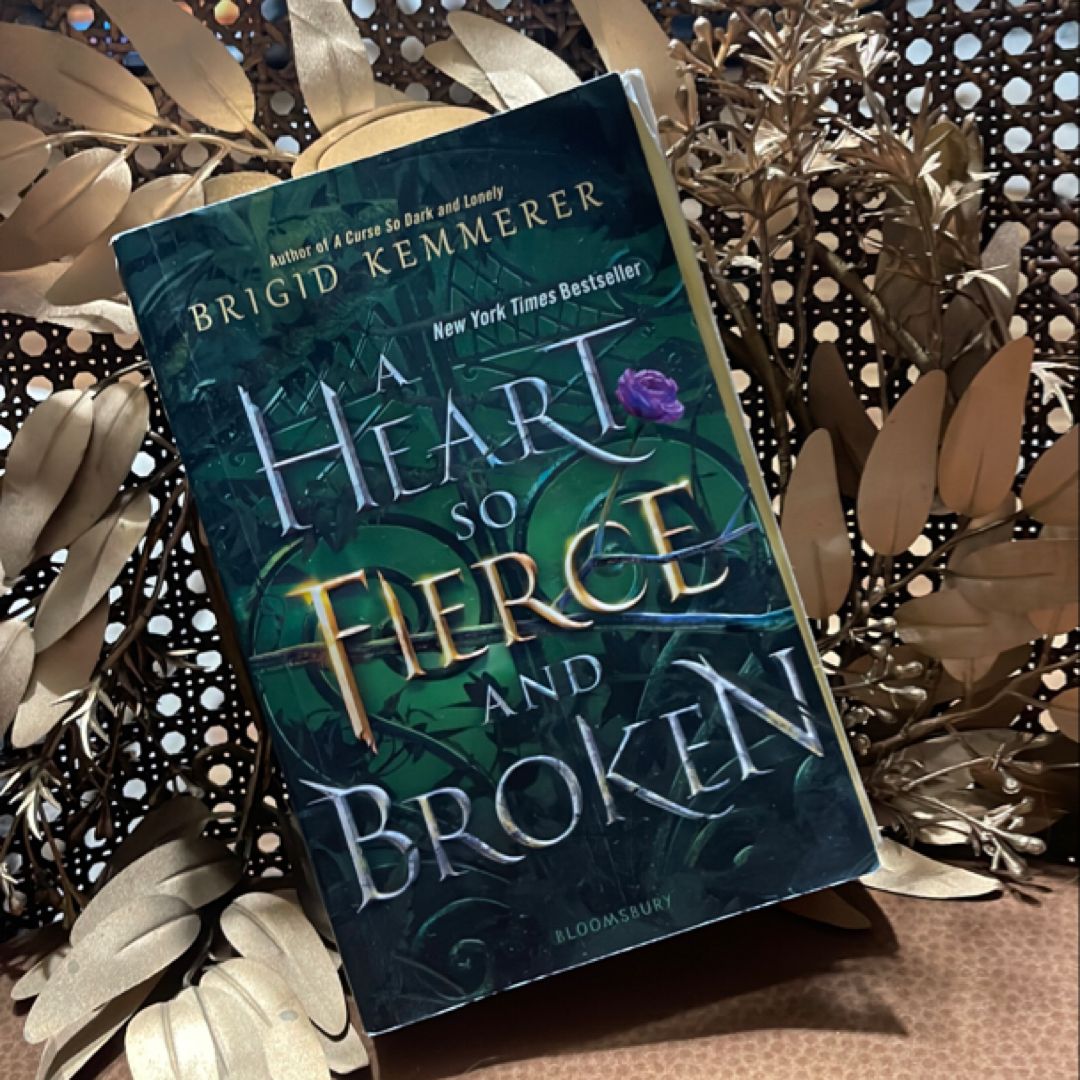 A Heart So Fierce and Broken