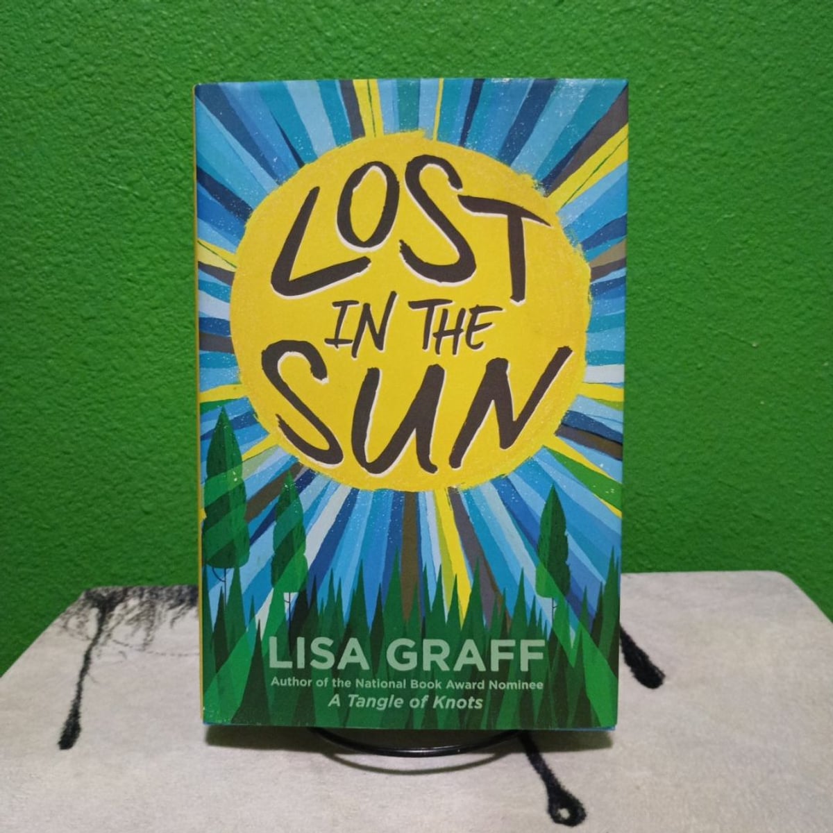 Lost in the Sun by Lisa Graff
