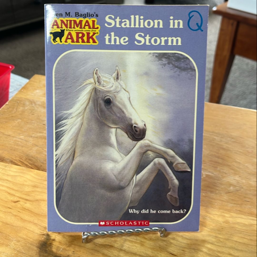 Stallion in the Storm
