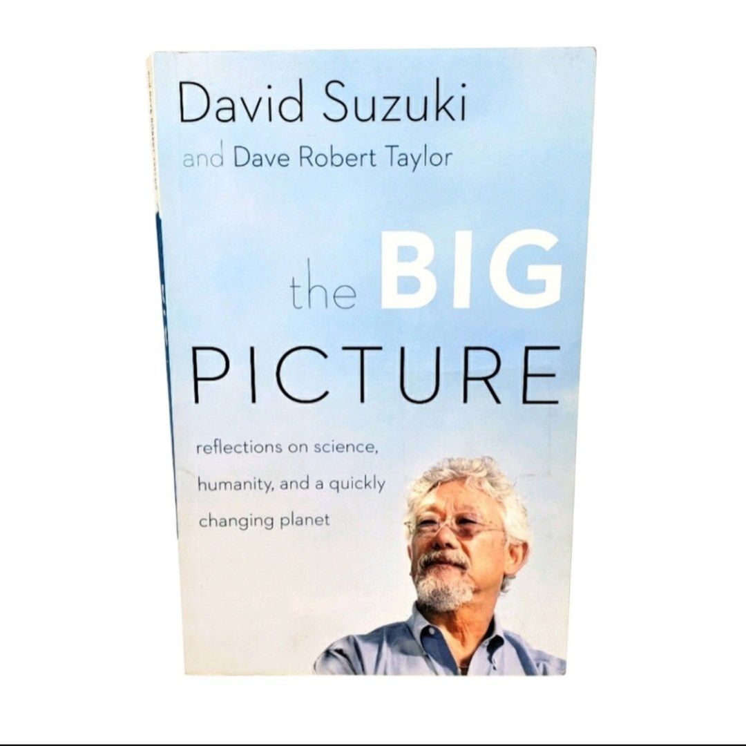 The Big Picture
