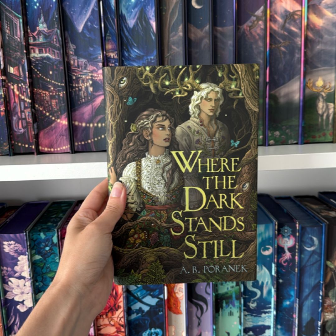 Where the Dark Stands Still