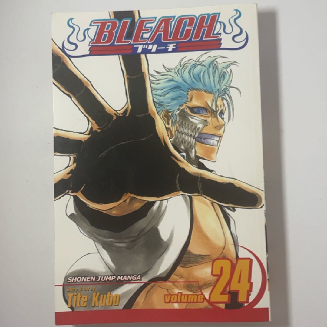 Bleach, Vol. 24