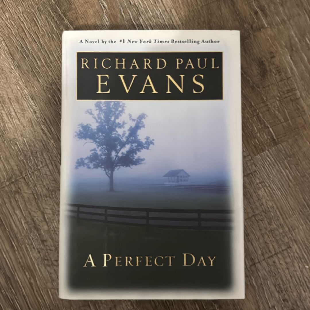 A Perfect Day