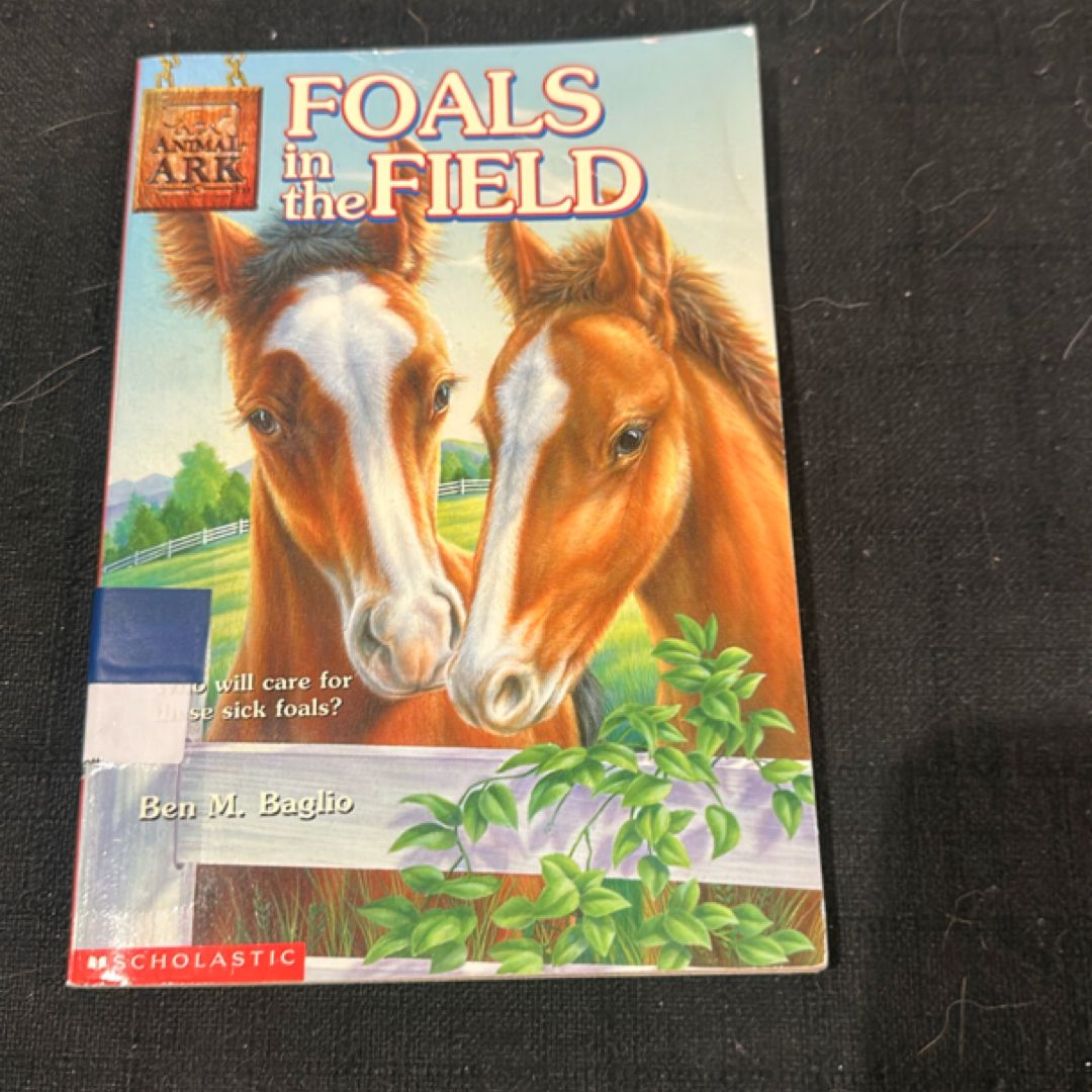 Foals in the Field