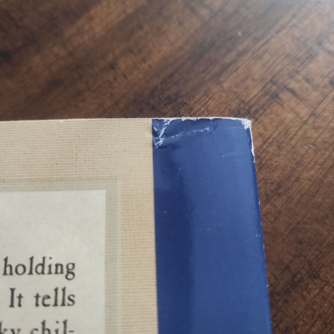 The Bad Beginning