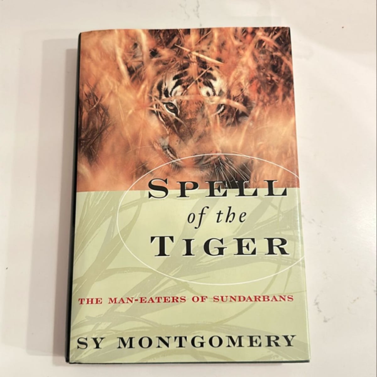 Spell of the Tiger by