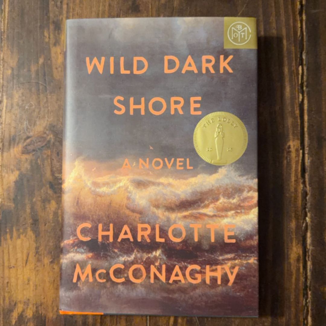 Wild Dark Shore