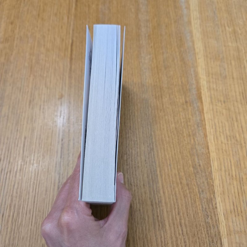 Blood Bounty of the Mountain Man