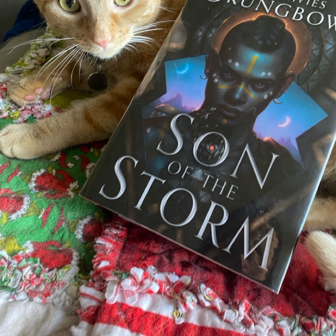 Son of the Storm