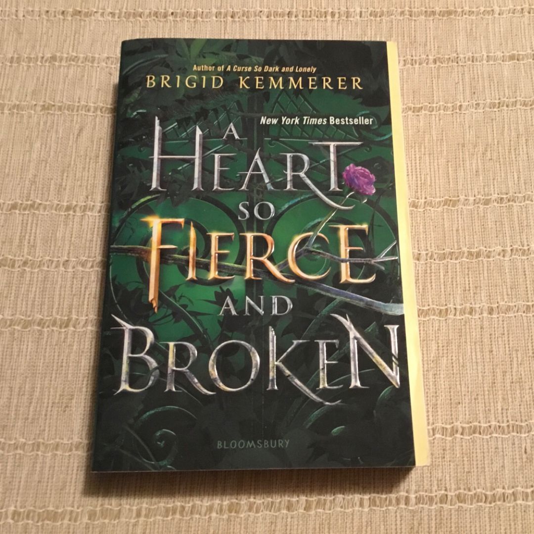 A Heart So Fierce and Broken