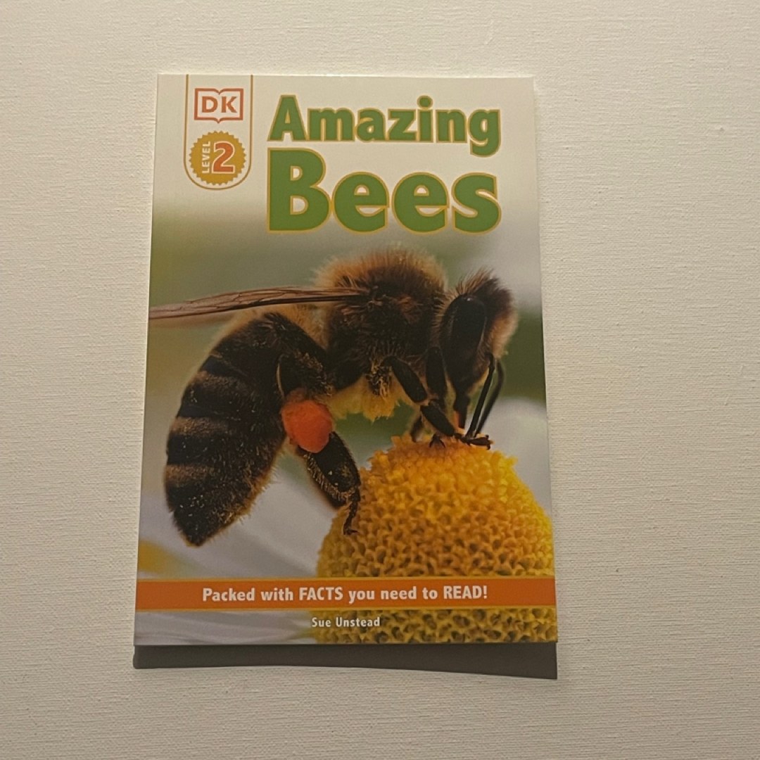 DK Readers L2: Amazing Bees