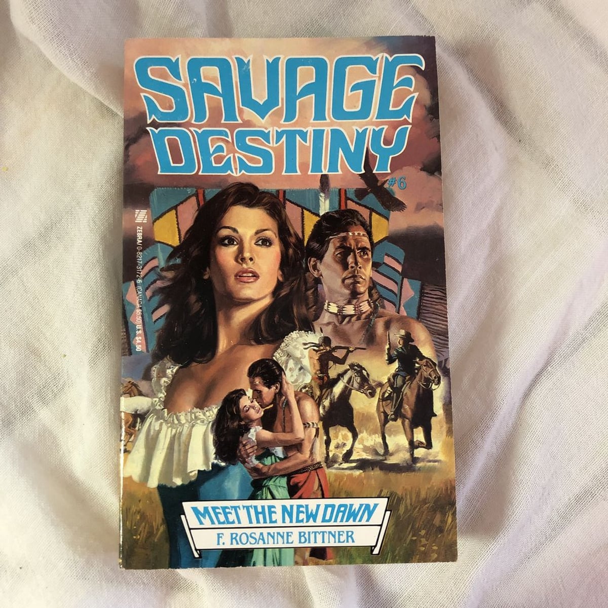 Meet the New Dawn by Rosanne Bittner, F. R. Bittner