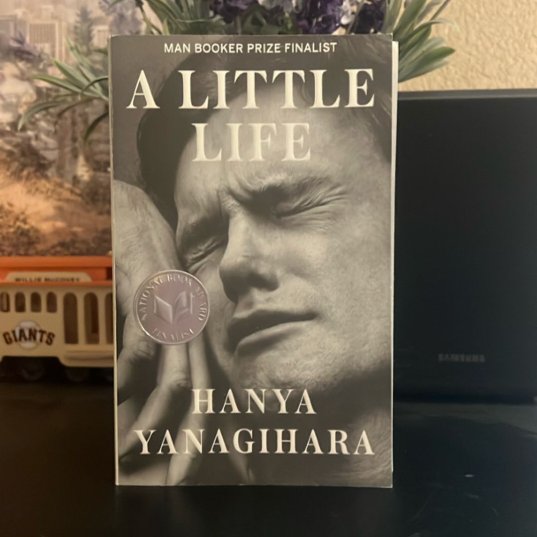 A Little Life