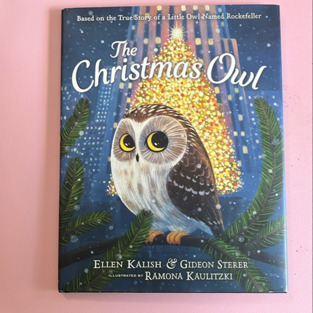 The Christmas Owl