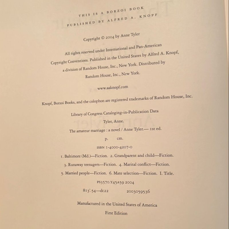 The Amateur Marriage