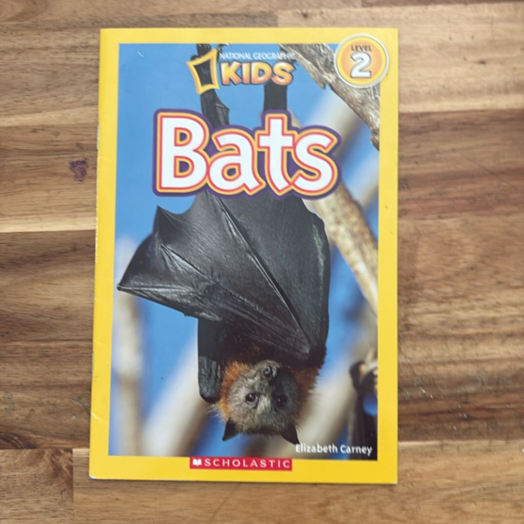 Bats