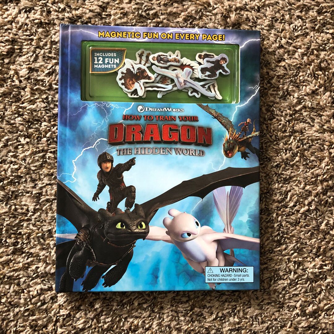 DreamWorks How to Train Your Dragon: the Hidden World Magnetic Fun