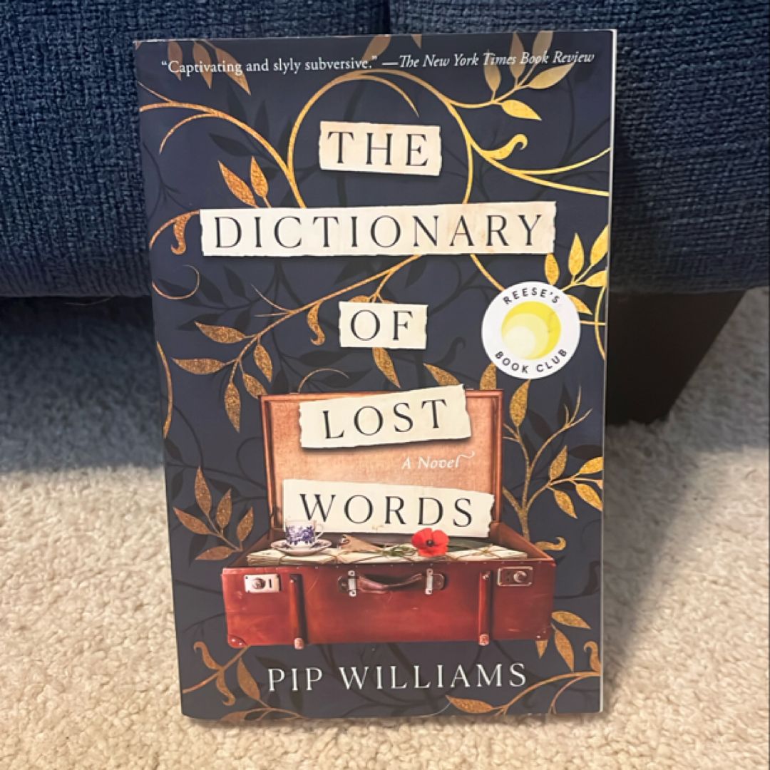 The Dictionary of Lost Words