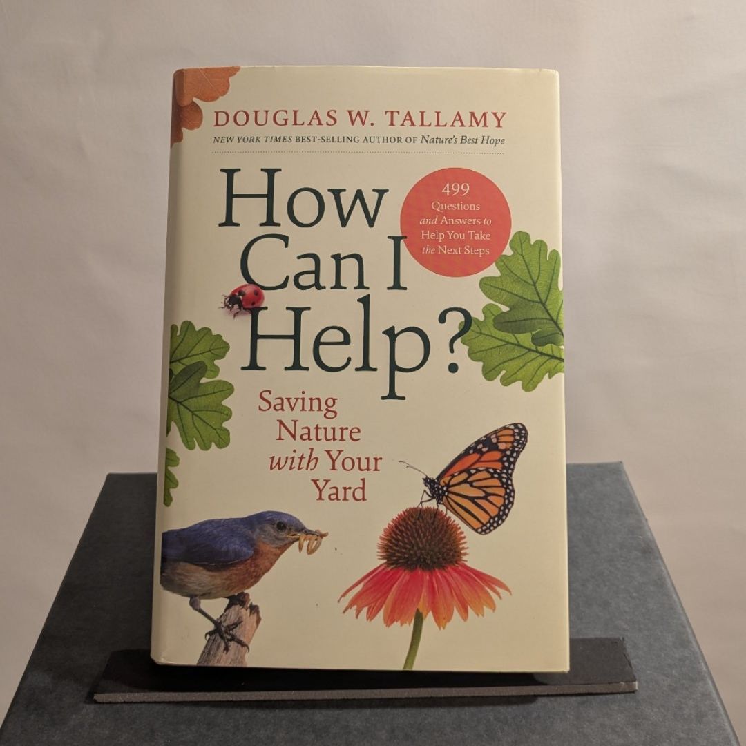 How Can I Help?