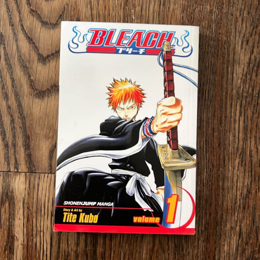 Bleach, Vol. 1