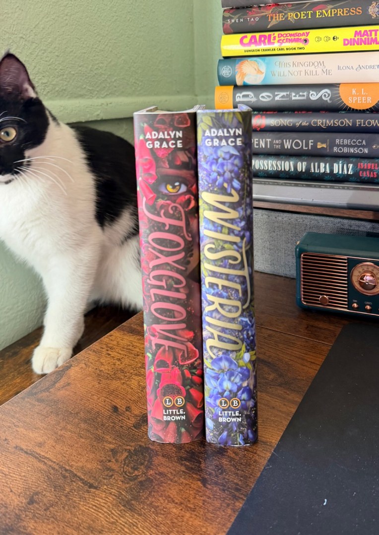 Belladonna Bundle