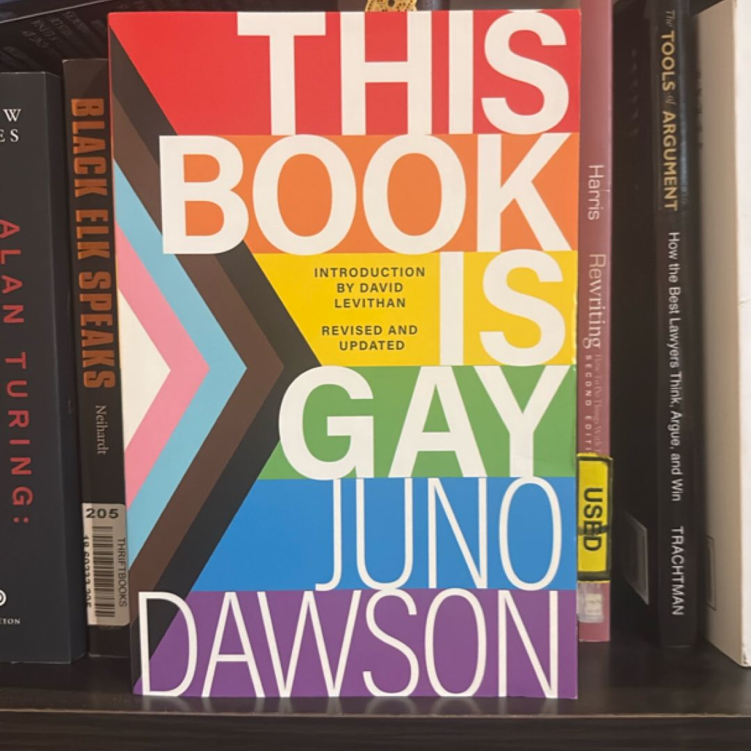 This Book Is Gay