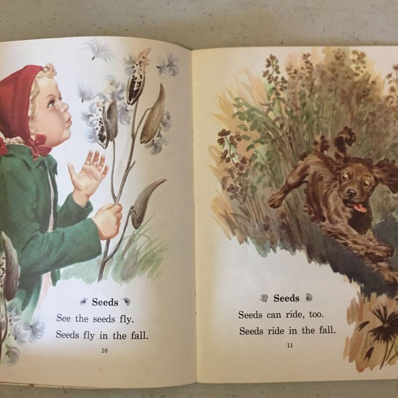 Fall Is Here-Winter Is Here