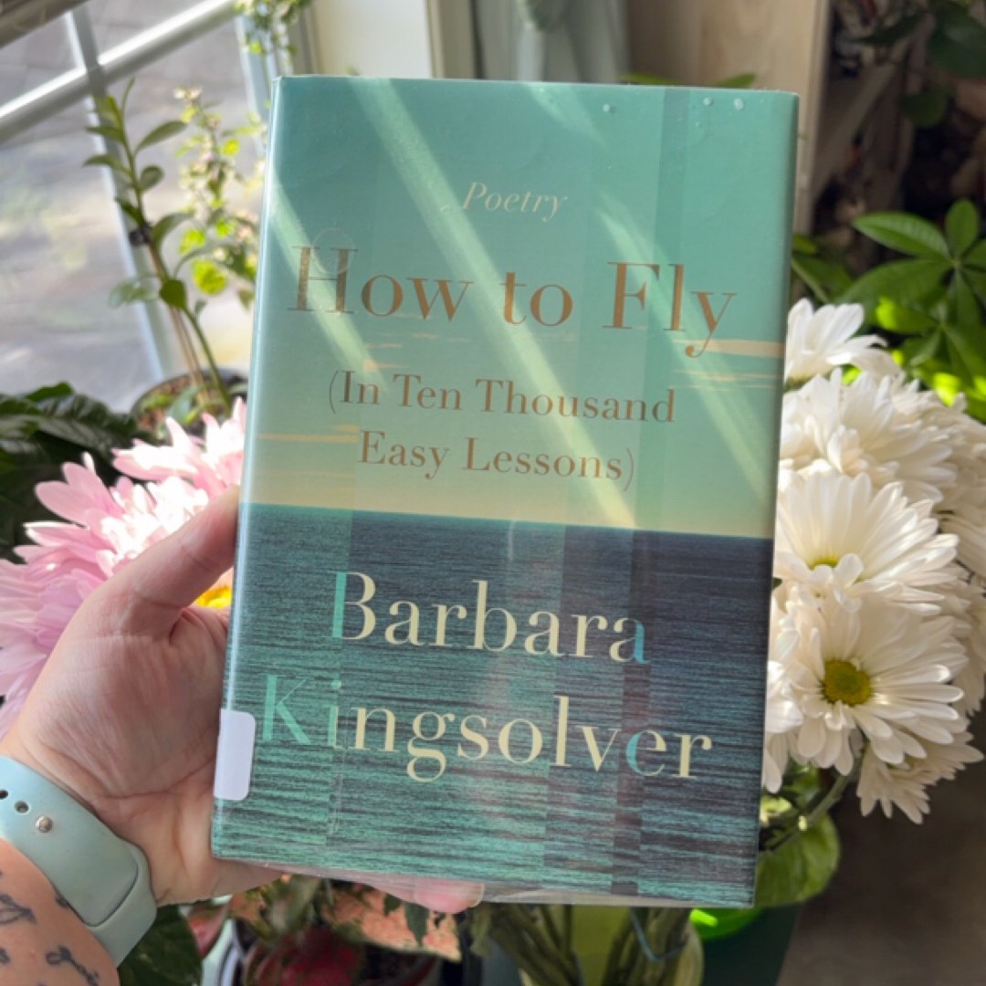 How to Fly (in Ten Thousand Easy Lessons)