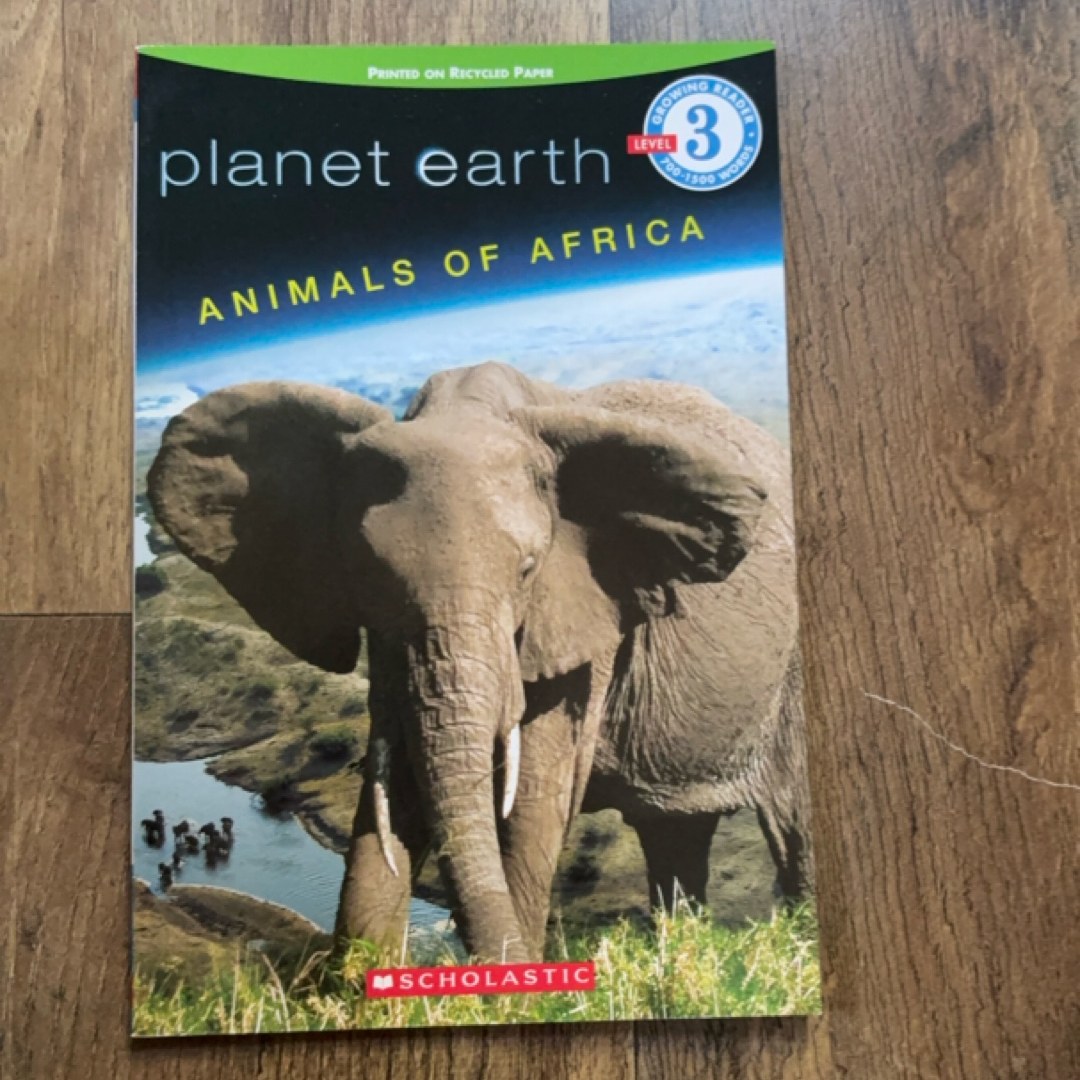 Animals of Africa, Level 3