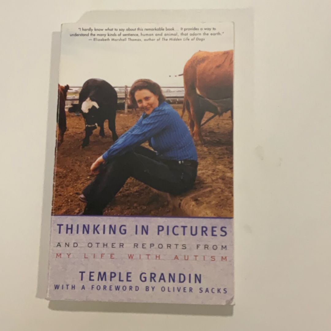 Thinking in Pictures